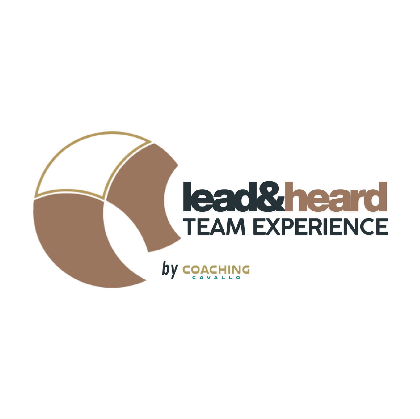 Logo lead and heard team experience