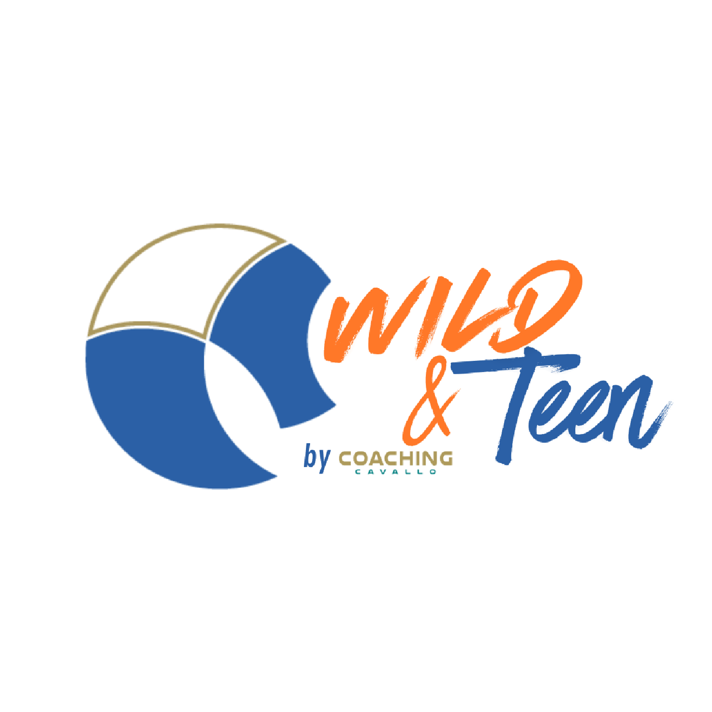 Logo Wild and Teen